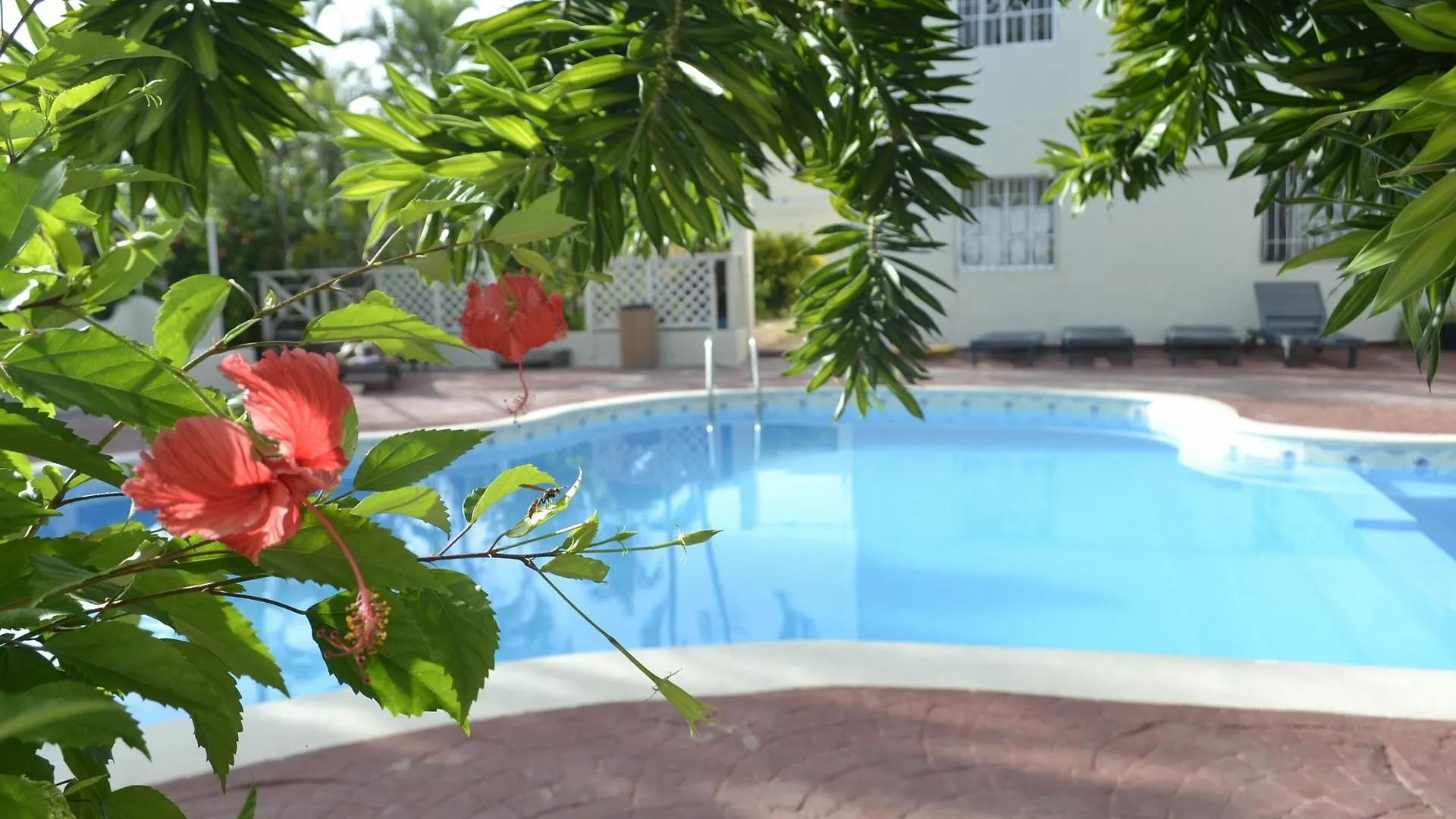 Guesthouse Caribe Punta Cana Bávaro