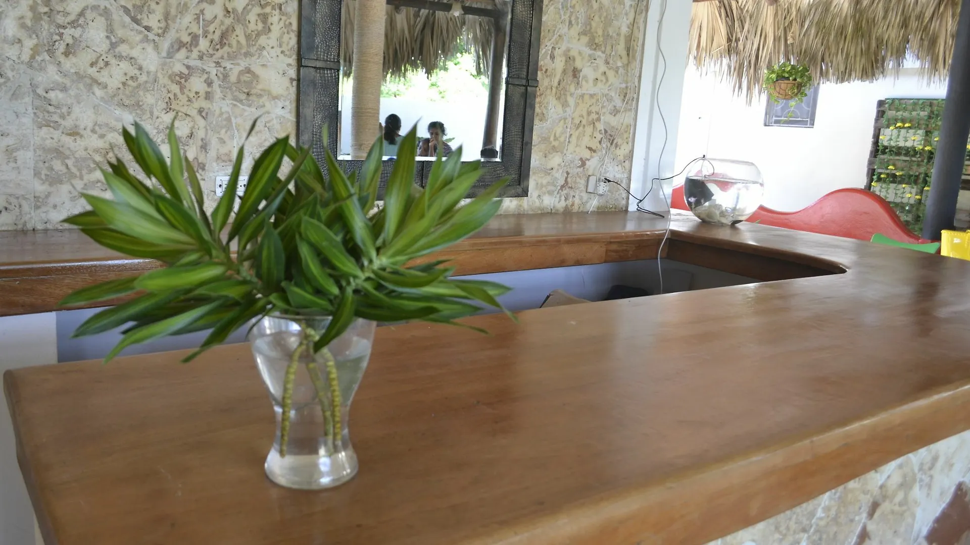 Guesthouse Caribe Punta Cana Bávaro